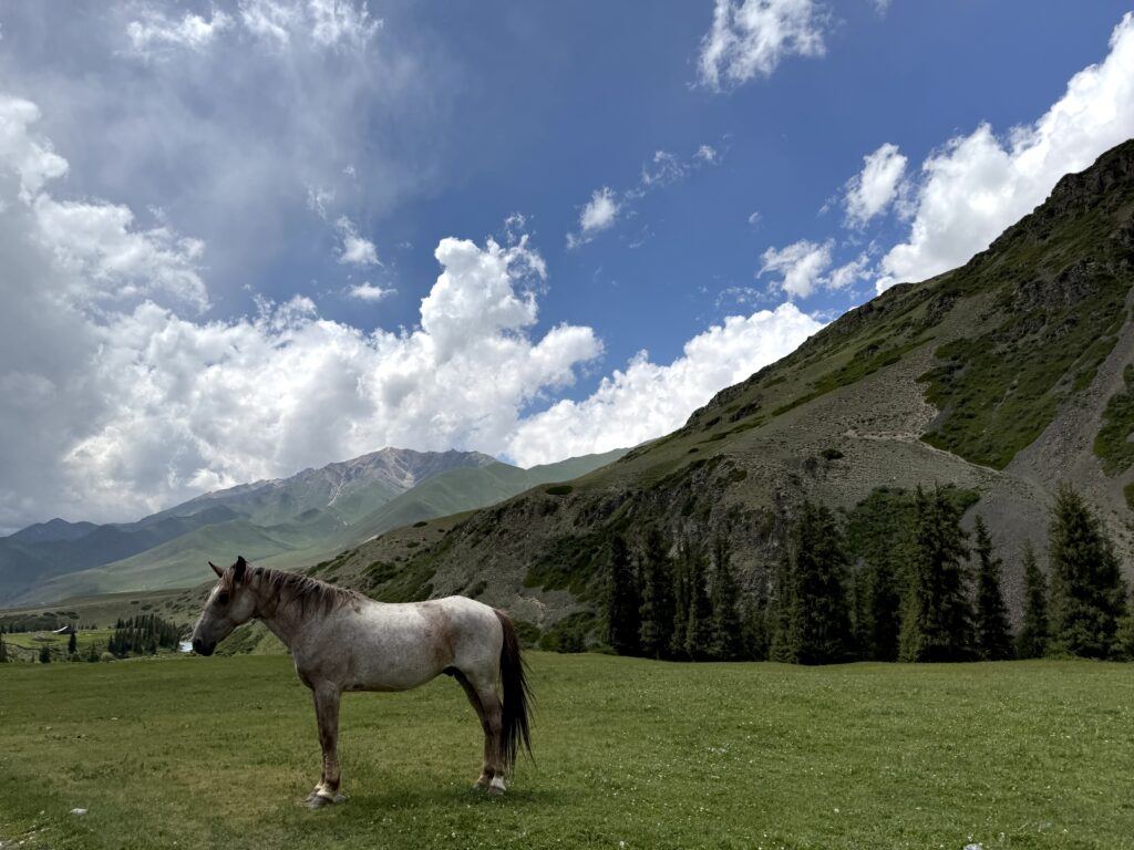 馬とキルギスの山