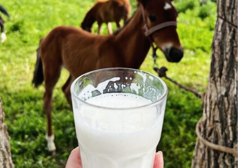 mares milk