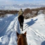 冬のキルギス絶景乗馬｜アルマトイ現地発！白銀の冒険4泊5日ツアー【駆け足経験者】の画像