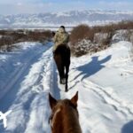 冬のキルギス絶景乗馬｜ビシュケク現地発！白銀の冒険3泊4日ツアー【駆け足経験者】の画像