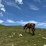 ツアーイメージ