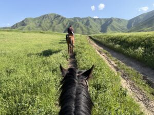キルギス乗馬集中コース｜ビシュケク発！日帰りで4〜6時間しっかり乗る【未経験から】